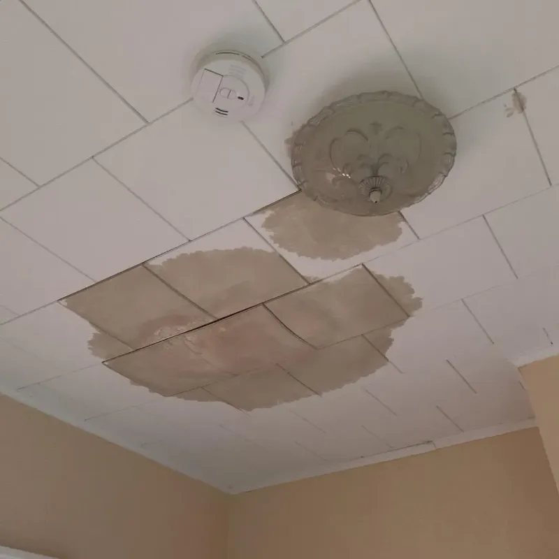 Ceiling Water Damage Repair in Glen Lyon, PA