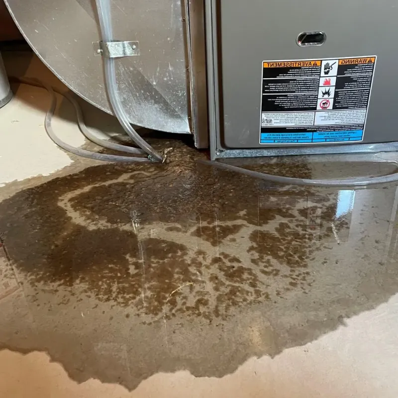 Pipe Burst and Leak Restoration in Glen Lyon, PA
