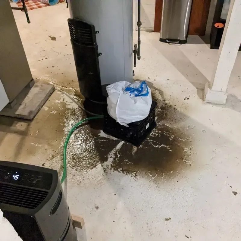 Sewage Backup Cleanup Service in Glen Lyon, PA